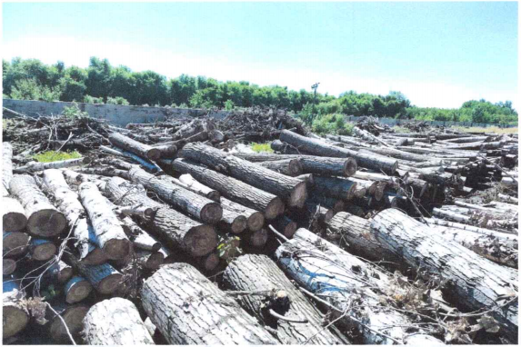 中国·太阳集团tyc138(品牌公司)·Official website