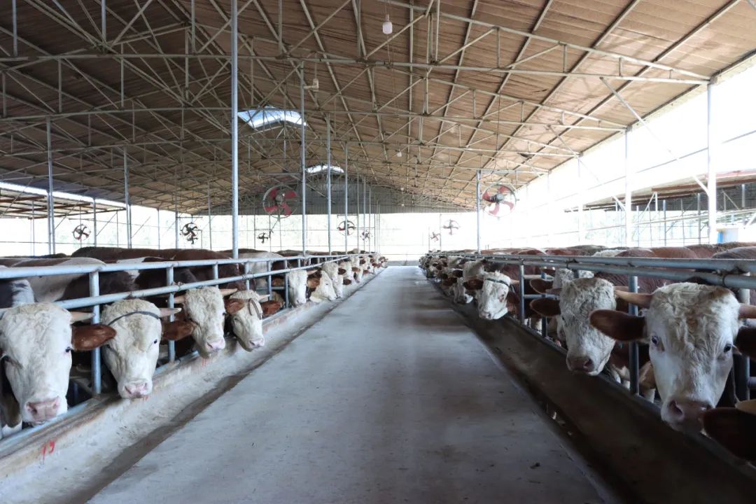 中国·太阳集团tyc138(品牌公司)·Official website